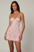 Embellished Bandeau A-line Mini Dress in Ballet Pink